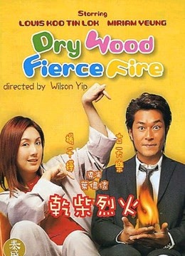 干柴烈火(粤语)