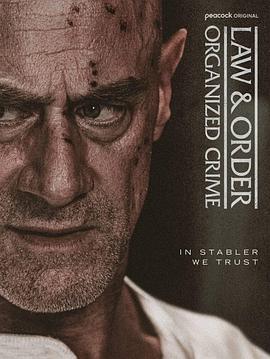 法律与秩序:组织犯罪第5季